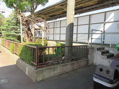 ホーム