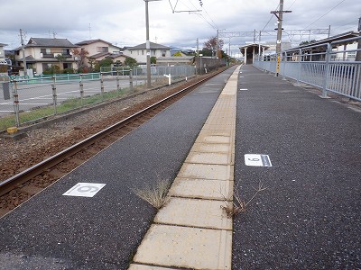 �����w�摜