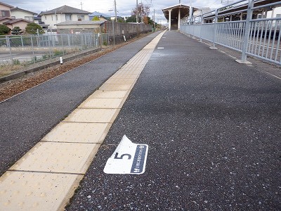 �����w�摜