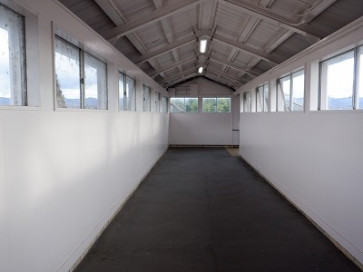 �����w�摜