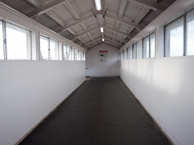 �����w�摜