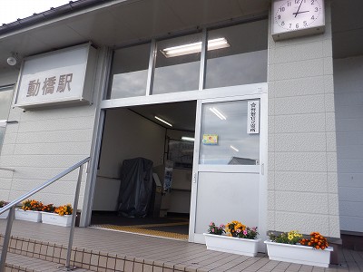 �����w�摜