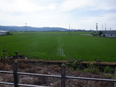 Xcw摜