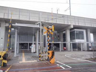 ������w�摜