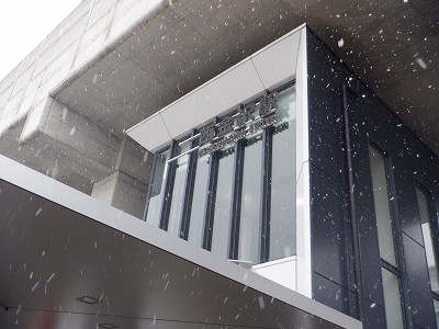 ������w�摜