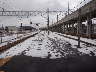 ������w�摜