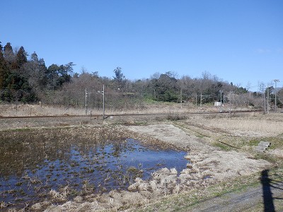 ���m�J�w�摜