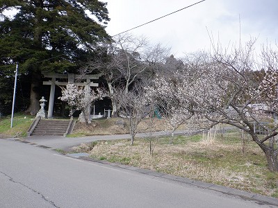 ���m�J�w�摜