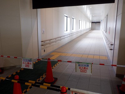 w摜