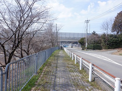 w摜