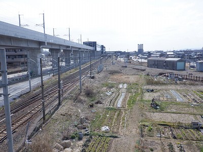 w摜