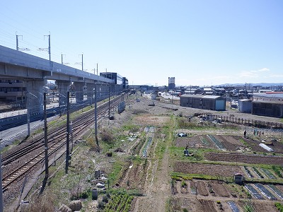 w摜