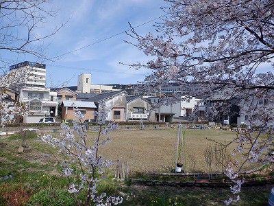 w摜