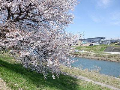w摜