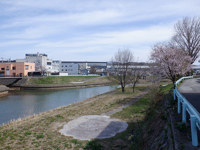 w摜