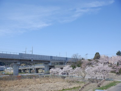 w摜
