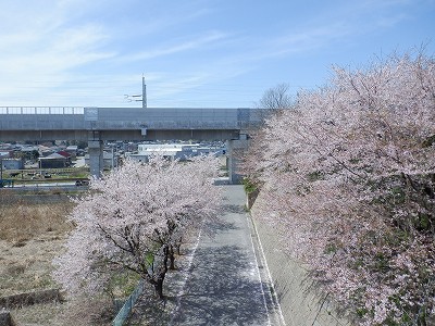 w摜