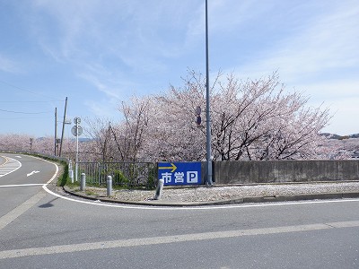w摜
