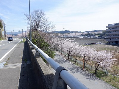 w摜