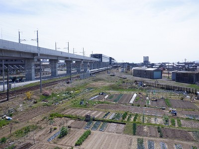 w摜