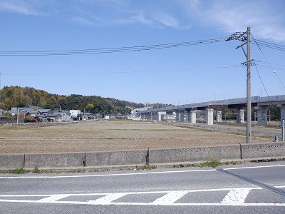w摜