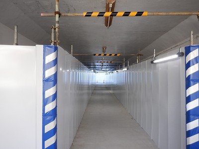 ���ꉷ��w�摜