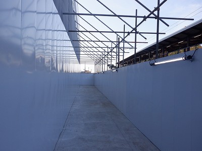 ���ꉷ��w�摜