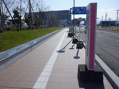 ���ꉷ��w�摜