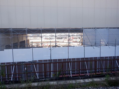 ���ꉷ��w�摜