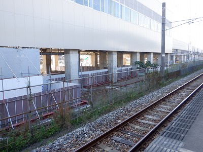 ���ꉷ��w�摜