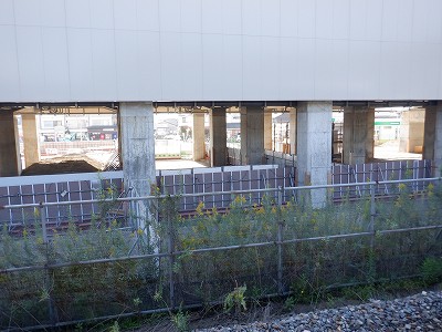 ���ꉷ��w�摜