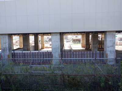 ���ꉷ��w�摜