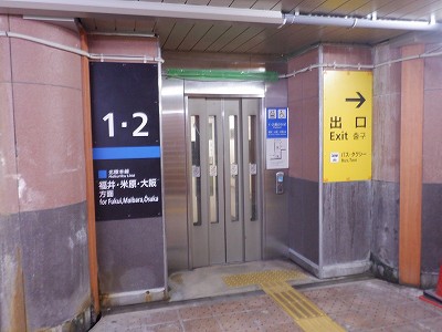 ���ꉷ��w�摜