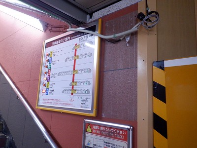 ���ꉷ��w�摜