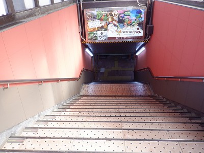 ���ꉷ��w�摜