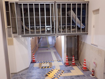 ���ꉷ��w�摜