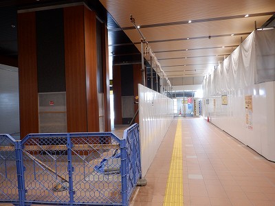 ���ꉷ��w�摜