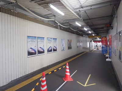 ���ꉷ��w�摜