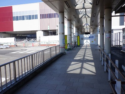 ���ꉷ��w�摜