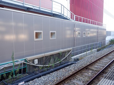 ���ꉷ��w�摜