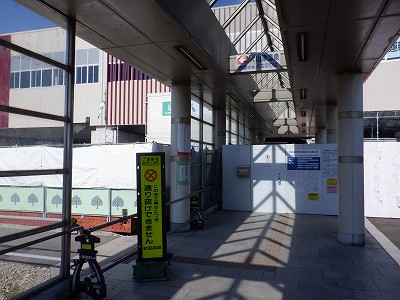 ���ꉷ��w�摜