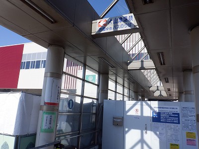 ���ꉷ��w�摜