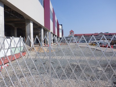 ���ꉷ��w�摜