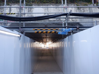 ���ꉷ��w�摜