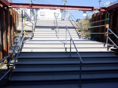 ���ꉷ��w�摜