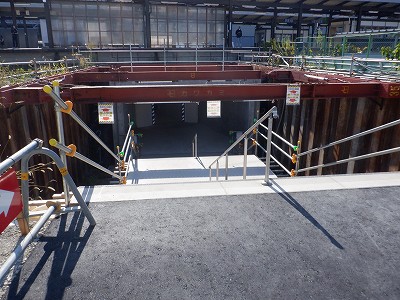 ���ꉷ��w�摜