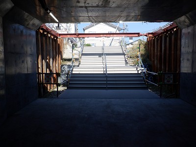 ���ꉷ��w�摜