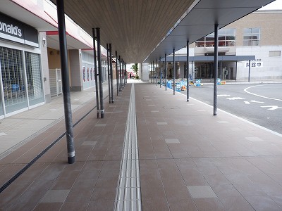 ���ꉷ��w�摜