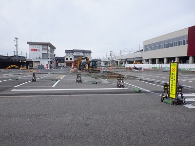 ���ꉷ��w�摜