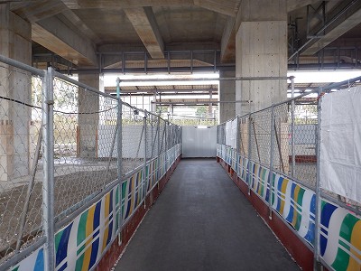 ���ꉷ��w�摜